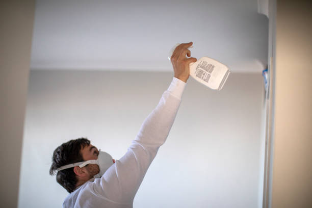 Trusted Lordship, CT Mold Removal Experts